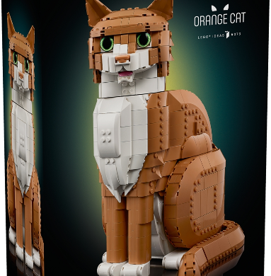 Orange Cat